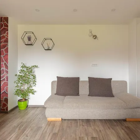 Apartmaji Hodak Bohinj Exterior photo