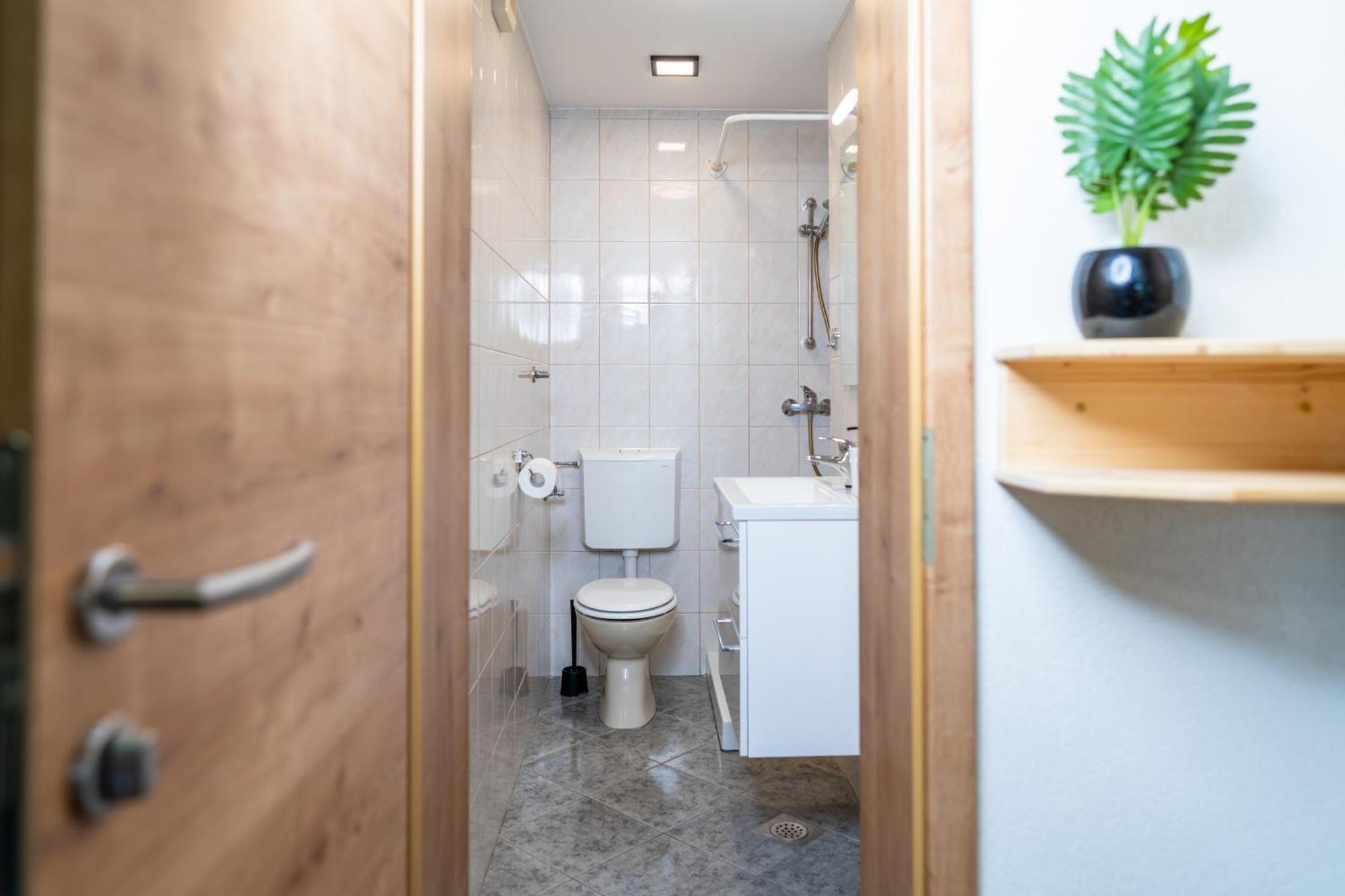 Apartmaji Hodak 3*